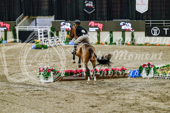 2025 - Haylee - Royal West - Friday October 24th - 07678