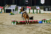 2025 - Haylee - Royal West - Friday October 24th - 07678