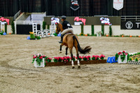 2025 - Haylee - Royal West - Friday October 24th - 07680