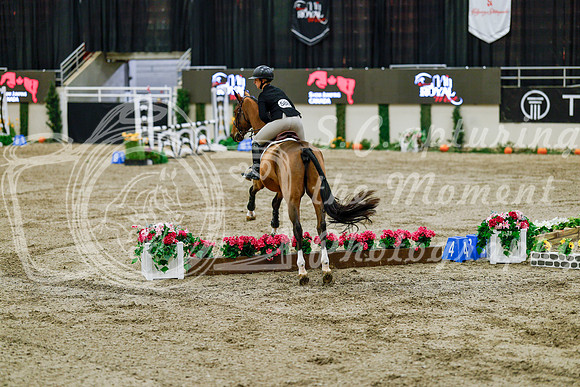 2025 - Haylee - Royal West - Friday October 24th - 07680