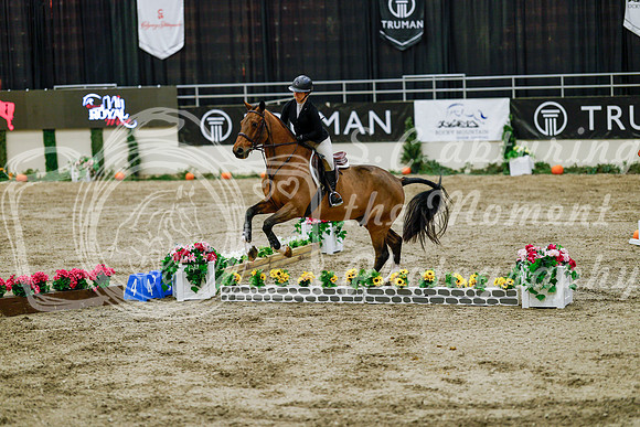 2025 - Haylee - Royal West - Friday October 24th - 07684