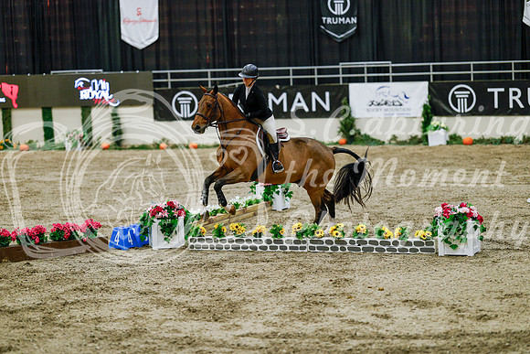 2025 - Haylee - Royal West - Friday October 24th - 07685