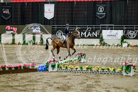 2025 - Haylee - Royal West - Friday October 24th - 07593