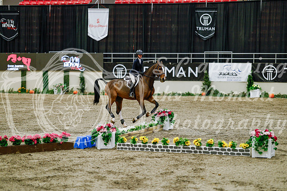 2025 - Haylee - Royal West - Friday October 24th - 07594