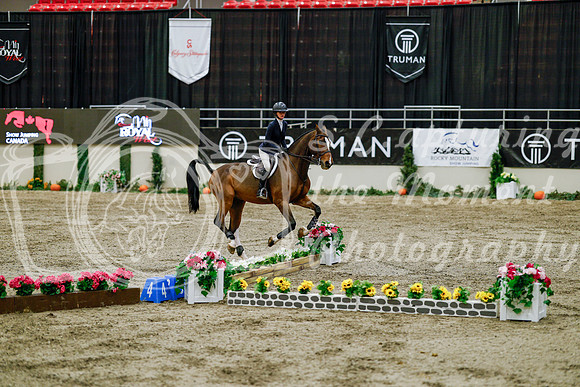 2025 - Haylee - Royal West - Friday October 24th - 07595