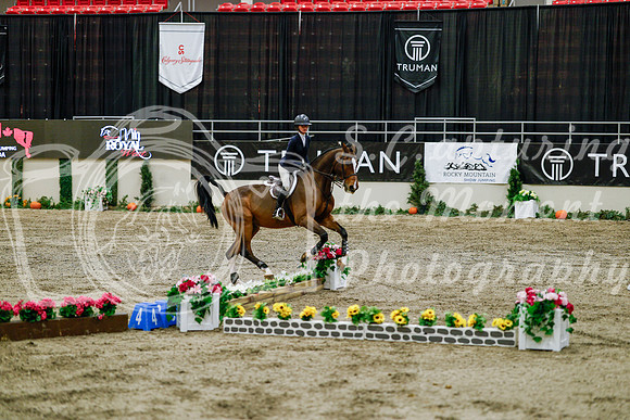 2025 - Haylee - Royal West - Friday October 24th - 07598