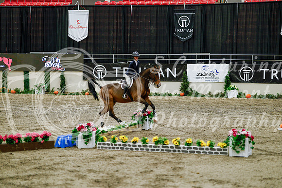 2025 - Haylee - Royal West - Friday October 24th - 07599