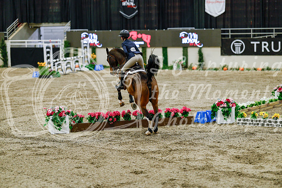 2025 - Haylee - Royal West - Friday October 24th - 07602
