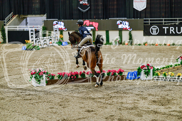2025 - Haylee - Royal West - Friday October 24th - 07603