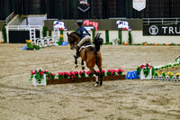 2025 - Haylee - Royal West - Friday October 24th - 07604