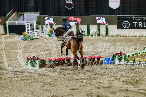 2025 - Haylee - Royal West - Friday October 24th - 07606