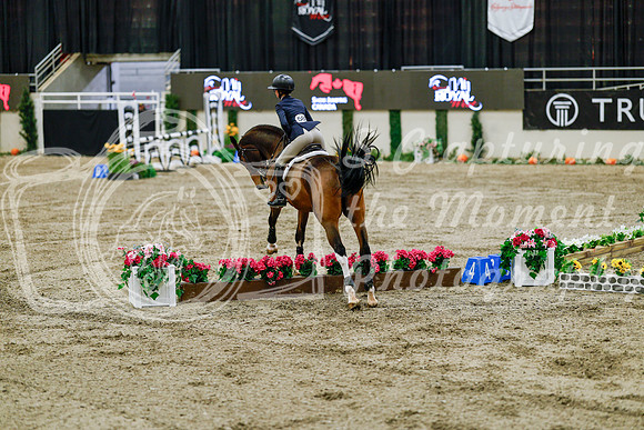 2025 - Haylee - Royal West - Friday October 24th - 07608