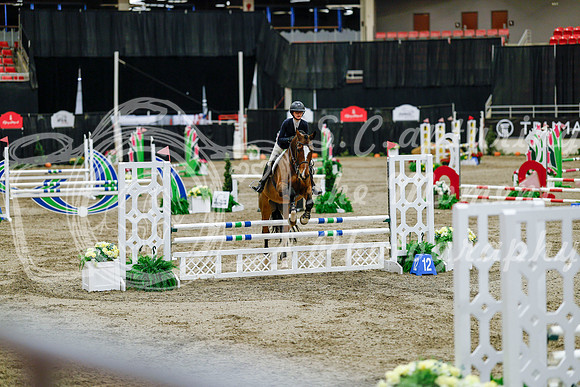 2025 - Haylee - Royal West - Friday October 24th - 07618