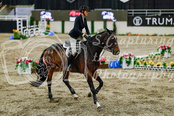 2025 - Haylee - Royal West - Friday October 24th - 08752