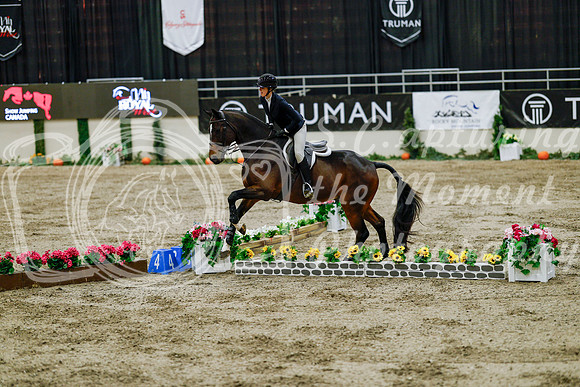 2025 - Haylee - Royal West - Friday October 24th - 08759