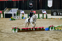 2025 - Haylee - Royal West - Friday October 24th - 07396