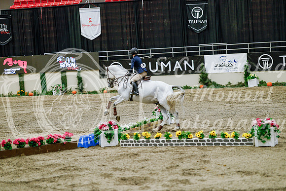 2025 - Haylee - Royal West - Friday October 24th - 07403