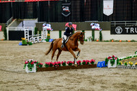 2025 - Haylee - Royal West - Friday October 24th - 08663