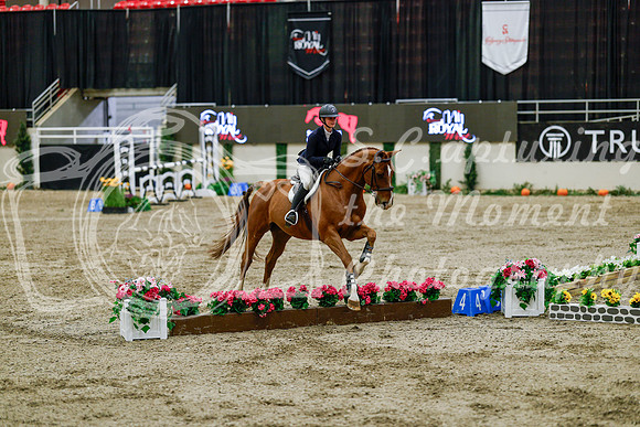 2025 - Haylee - Royal West - Friday October 24th - 08663