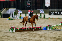2025 - Haylee - Royal West - Friday October 24th - 08665