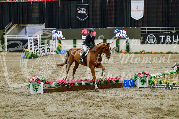 2025 - Haylee - Royal West - Friday October 24th - 08665