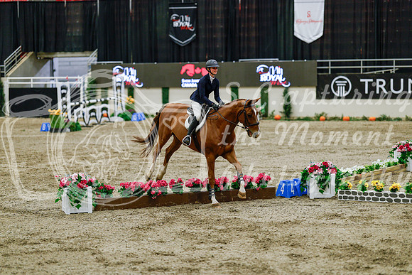 2025 - Haylee - Royal West - Friday October 24th - 08667