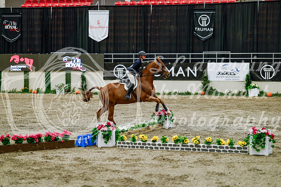 2025 - Haylee - Royal West - Friday October 24th - 08679