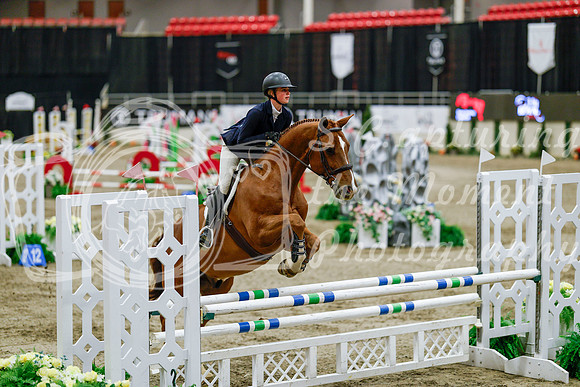2025 - Haylee - Royal West - Friday October 24th - 08687