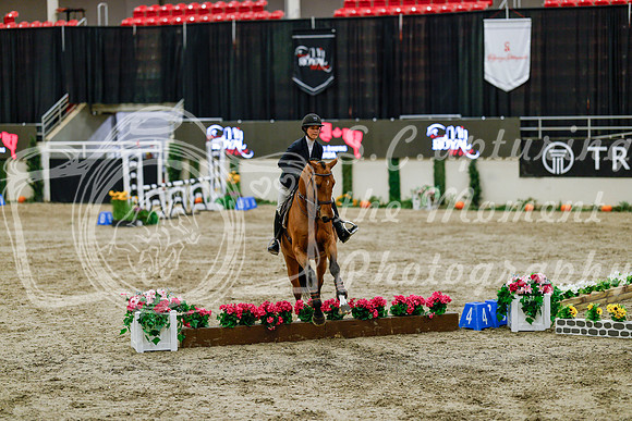 2025 - Haylee - Royal West - Friday October 24th - 06488