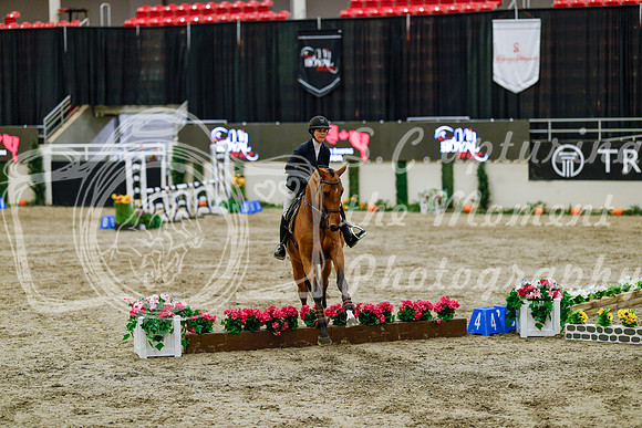 2025 - Haylee - Royal West - Friday October 24th - 06489