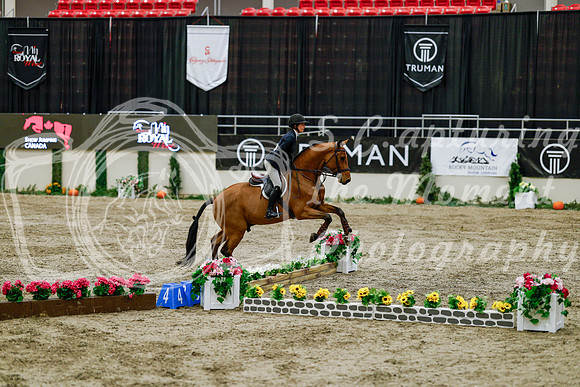 2025 - Haylee - Royal West - Friday October 24th - 06509