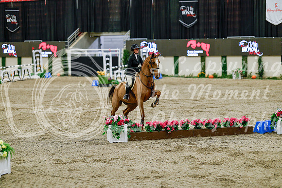 2025 - Haylee - Royal West - Friday October 24th - 08390
