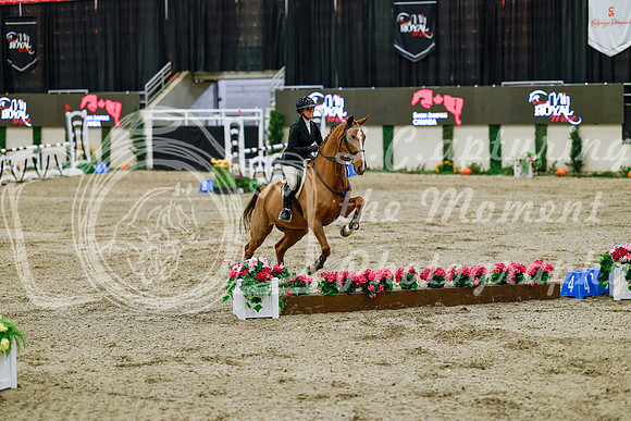 2025 - Haylee - Royal West - Friday October 24th - 08392