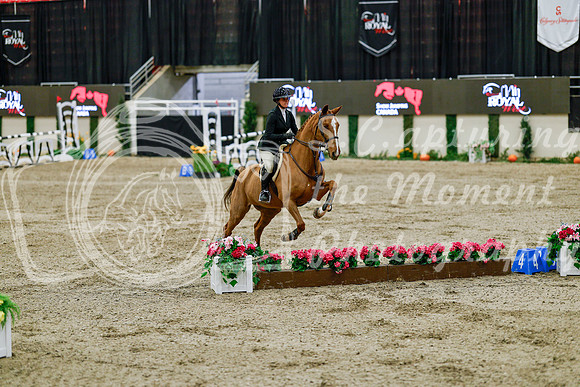 2025 - Haylee - Royal West - Friday October 24th - 08393