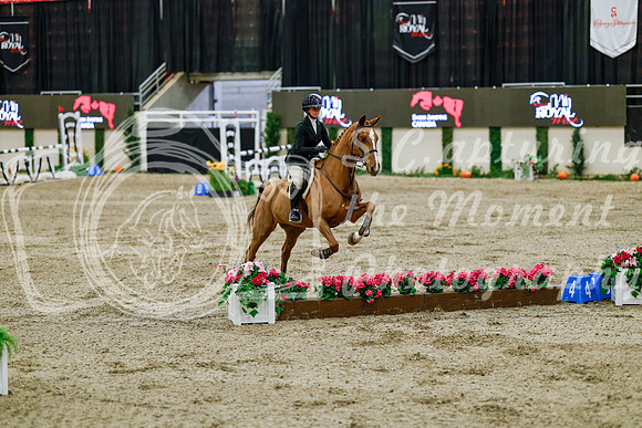 2025 - Haylee - Royal West - Friday October 24th - 08394