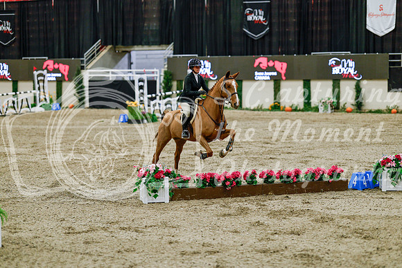 2025 - Haylee - Royal West - Friday October 24th - 08395