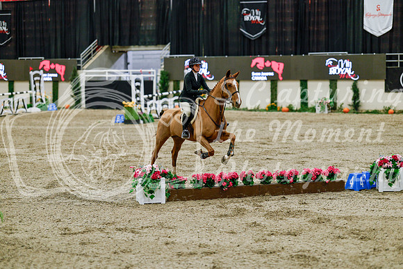 2025 - Haylee - Royal West - Friday October 24th - 08396