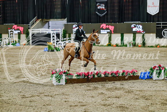 2025 - Haylee - Royal West - Friday October 24th - 08398