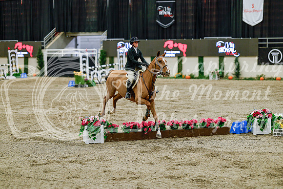 2025 - Haylee - Royal West - Friday October 24th - 08400