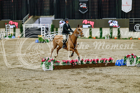 2025 - Haylee - Royal West - Friday October 24th - 08399