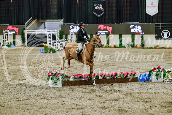 2025 - Haylee - Royal West - Friday October 24th - 08401