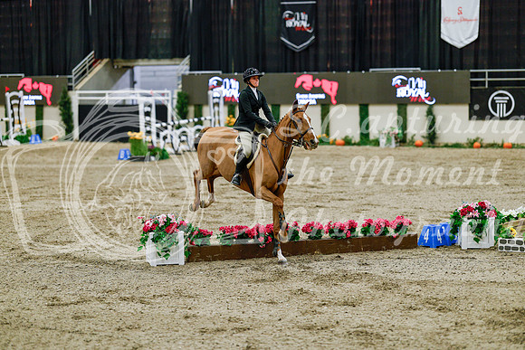 2025 - Haylee - Royal West - Friday October 24th - 08402