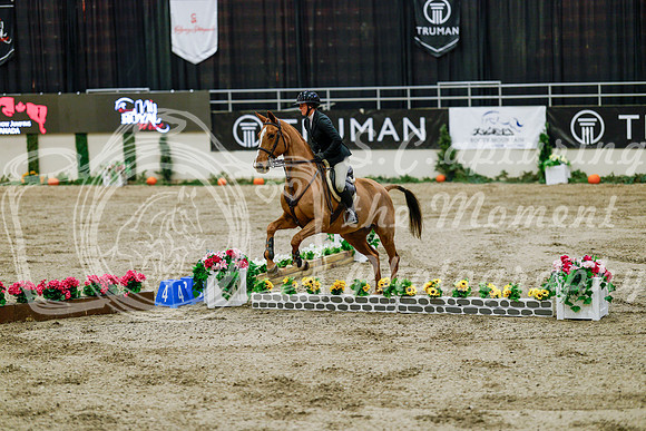 2025 - Haylee - Royal West - Friday October 24th - 08403