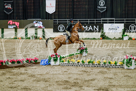 2025 - Haylee - Royal West - Friday October 24th - 08407