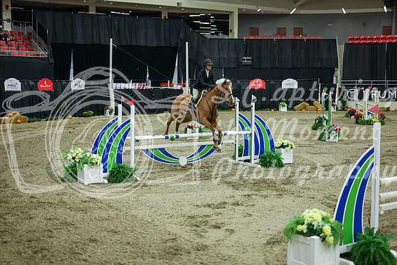 2025 - Shea - Royal West - Friday October 24th - 10695