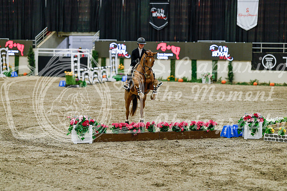 2025 - Haylee - Royal West - Friday October 24th - 07746