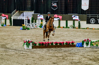 2025 - Haylee - Royal West - Friday October 24th - 07748