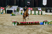 2025 - Haylee - Royal West - Friday October 24th - 07749