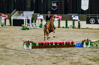 2025 - Haylee - Royal West - Friday October 24th - 07750