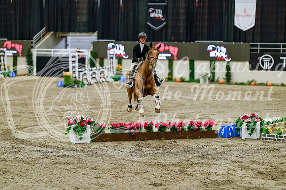 2025 - Haylee - Royal West - Friday October 24th - 07751